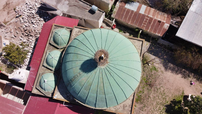 Ağır hasar alan minaredeki leylek yuvası cami kubbesine taşındı